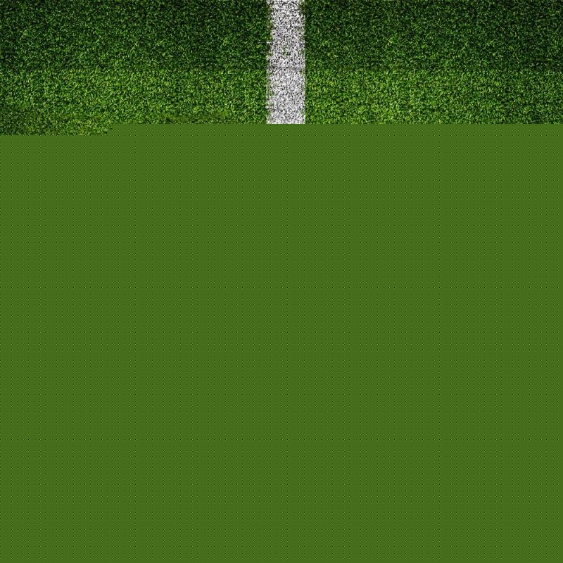 技场