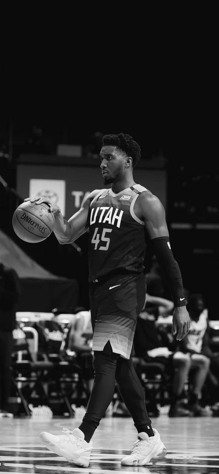 提供了宝贵 提供了宝贵